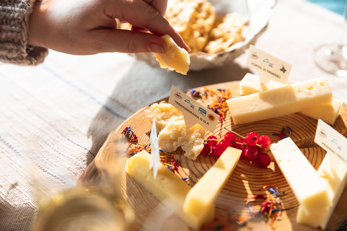 8pm primavera 2025 estate 2020